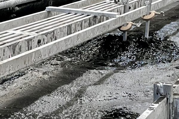 HAI_chemical_pickling